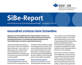 SiBe-Report Grafik vom SiBe Report
