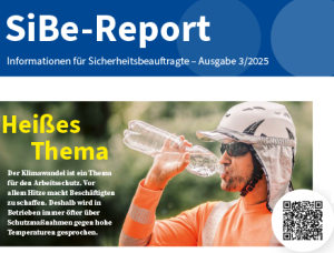 Informationen für Sicherheitsbeauftragte Sibe-Report 